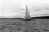 Gävle Segelsällskap. År 1925. Norrlandsregattan i Sundsvallsfjärden, bl.a. runt Alnön.