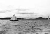Gävle Segelsällskap. År 1925. Norrlandsregattan i Sundsvallsfjärden, bl.a. runt Alnön.