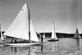 Gävle Segelsällskap. År 1925. Norrlandsregattan i Sundsvallsfjärden, bl.a. runt Alnön. I bakgrunden Sundsvall Segelsällskaps klubbhus Vindhem på Alnön.