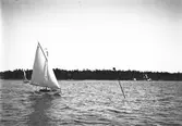 Gävle Segelsällskap. Seglingar. Den 25 juli 1908. 