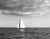 Gävle Segelsällskap. Seglingar. År 1909. 