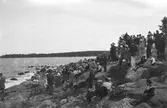 Gävle Segelsällskap. Seglingar. År 1925. Furuskär i Furuviksparken.