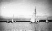 Gävle Segelsällskap. Norrlandsregattan.  År 1928.  Gefle Segelsällskap stod som arrangör för Norrlandsregattan.