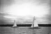 Gävle Segelsällskap. Norrlandsregattan.  År 1928.  Gefle Segelsällskap stod som arrangör för Norrlandsregattan.