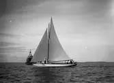 Gävle Segelsällskap. Norrlandsregattan.  År 1928.  Gefle Segelsällskap stod som arrangör för Norrlandsregattan. 