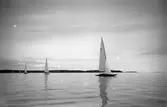Gävle Segelsällskap. Norrlandsregattan.  År 1928.  Gefle Segelsällskap stod som arrangör för Norrlandsregattan.