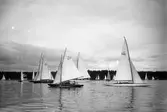 Gävle Segelsällskap. Norrlandsregattan.  År 1928.  Gefle Segelsällskap stod som arrangör för Norrlandsregattan.