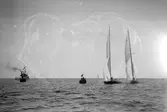 Gävle Segelsällskap. Norrlandsregattan.  År 1928.  Gefle Segelsällskap stod som arrangör för Norrlandsregattan.