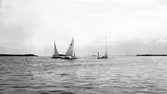 Gävle Segelsällskap. Norrlandsregattan.  År 1928.  Gefle Segelsällskap stod som arrangör för Norrlandsregattan.
