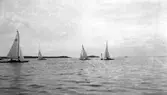 Gävle Segelsällskap. Norrlandsregattan.  År 1928.  Gefle Segelsällskap stod som arrangör för Norrlandsregattan.