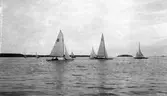 Gävle Segelsällskap. Norrlandsregattan.  År 1928.  Gefle Segelsällskap stod som arrangör för Norrlandsregattan.