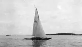 Gävle Segelsällskap. Norrlandsregattan.  År 1928.  Gefle Segelsällskap stod som arrangör för Norrlandsregattan. 
