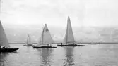 Gävle Segelsällskap. Norrlandsregattan.  År 1928.  Gefle Segelsällskap stod som arrangör för Norrlandsregattan.