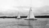 Gävle Segelsällskap. Norrlandsregattan.  År 1928.  Gefle Segelsällskap stod som arrangör för Norrlandsregattan.