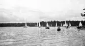 Gävle Segelsällskap. Norrlandsregattan.  År 1928.  Gefle Segelsällskap stod som arrangör för Norrlandsregattan.
