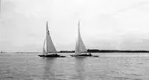 Gävle Segelsällskap. Norrlandsregattan.  År 1928.  Gefle Segelsällskap stod som arrangör för Norrlandsregattan.
