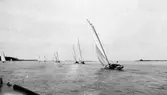 Gävle Segelsällskap. Norrlandsregattan.  År 1928.  Gefle Segelsällskap stod som arrangör för Norrlandsregattan.