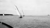 Gävle Segelsällskap. Norrlandsregattan.  År 1928.  Gefle Segelsällskap stod som arrangör för Norrlandsregattan.
