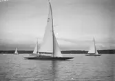 Gävle Segelsällskap. Norrlandsregattan.  År 1928.  Gefle Segelsällskap stod som arrangör för Norrlandsregattan.
