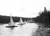 Gävle Segelsällskap. Seglingar.
