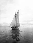 Gävle Segelsällskap. Seglingar.
