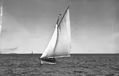 Gävle Segelsällskap. Seglingar.
