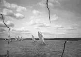 Gävle Segelsällskap. Seglingar.