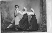 Allmogedansens vänner, herr Gussander, fröken Fischer, Anna Brodin. Foto år 1895.