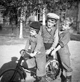 Tre pojkar, en cykel
