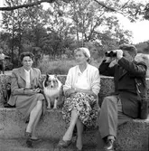 Två kvinnor, hund och man med kikare
