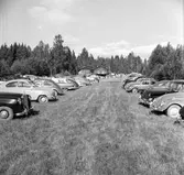 Bilparkering i gröngräset
