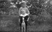 Josefs son Rolf på gunghästen, pojken bakom okänd
