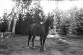 Fru Ella Bellander till häst. Foto i september 1918.