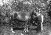 Okänd man med häst. Foto i juli 1917.