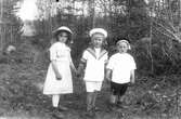 Tre okända barn hand i hand. Foto 2 maj - 10 juni 1917.