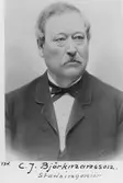 Stadsingenjör C. J. Björkmansson.