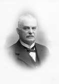 Länsjägmästare Carl Åhman. Född 19 mars 1864
