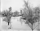 Forsbacka bruksort två mil väster om Gävle. Forsbacka Jernverks AB
Sedan 1600-talet har järnhanteringen varit ortens huvudnäring, som expanderade på 1870-talet. Flera valsverk uppfördes mellan 1872 och 1904.

