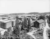 Korsnäs AB

Korsnäs Sågverks AB bildades 1855 i Dalarna. 1899 kom sågverket till Bomhus. Ett nytt sågverkssamhälle byggdes upp i Kastet.
Sågen blev en av världens största anläggningar.
1923 brann sågen och ett nytt sågverk byggdes upp.







