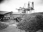 J. Em. Delin AB bedrev handel i Gävle
med bla kolimport.

Maskin som krossar kolen till mindre bitar

Kolhögarna vid Houcken
