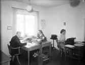 Ohlsens Enke AB

Fröhandel

