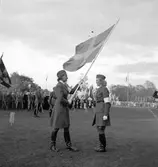 Svenska Flaggans Dag.