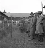 Lantbruksdag i Österfärnebo. Sundins gård i Backa. Kons. Larsson hushållningssällskapet. 30 juni 1950. Österfärneboreportage i Gefle Dagblad.



