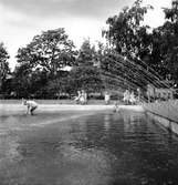 Badreportage, Stenebergsparken. Gävle 17 juni 1950.
