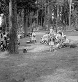 Badreportage, Engesberg. Gävle 17 juni 1950.
