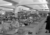 Agas nya fabrik, vid pressvisningen interiört och exteriört. Juli 1950.

