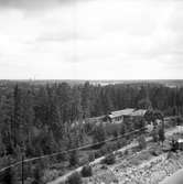 Ny vattenledning drages till Forsbacka. 17 juli 1950.
