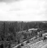 Ny vattenledning drages till Forsbacka. 17 juli 1950.
