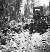 Vägbygge några mil norr om Storvik. Augusti 1950. Reportage för Gefle Dagblad och Norrlands Posten.

