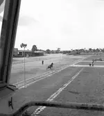 Travbanan, ny högtalaranläggning. 17 augusti 1950.



